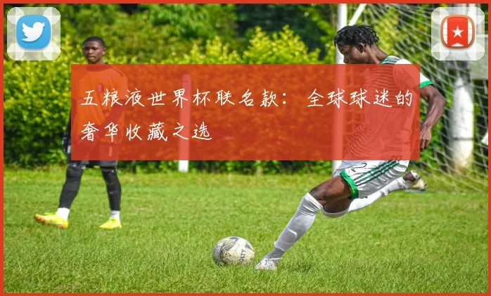 五粮液世界杯联名款：全球球迷的奢华收藏之选